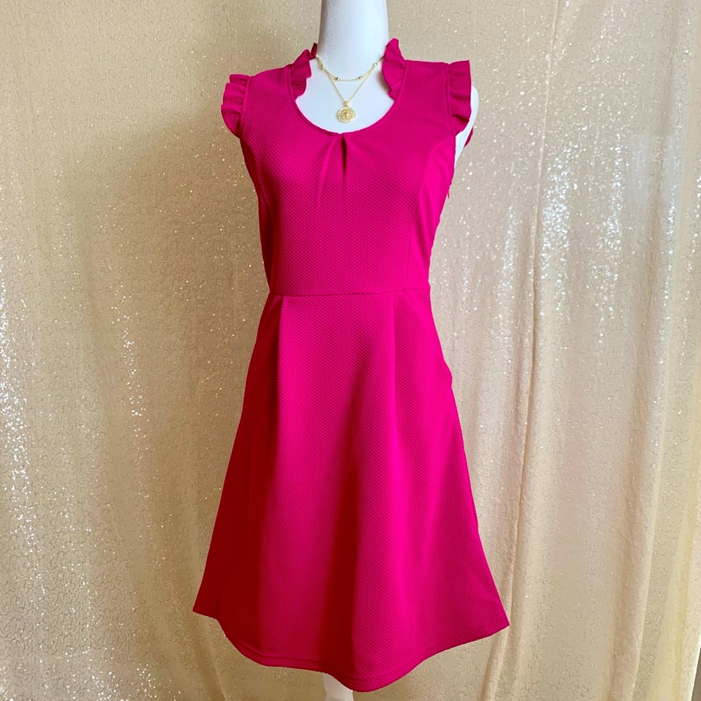 Tabitha Bright Pink Size 4 Cap Sleeve A Line Stretch w/ Pockets Dress